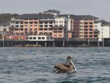 Monterey Bay 005